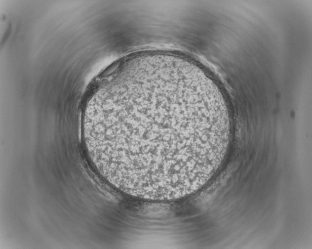 X0000088221171200706121823