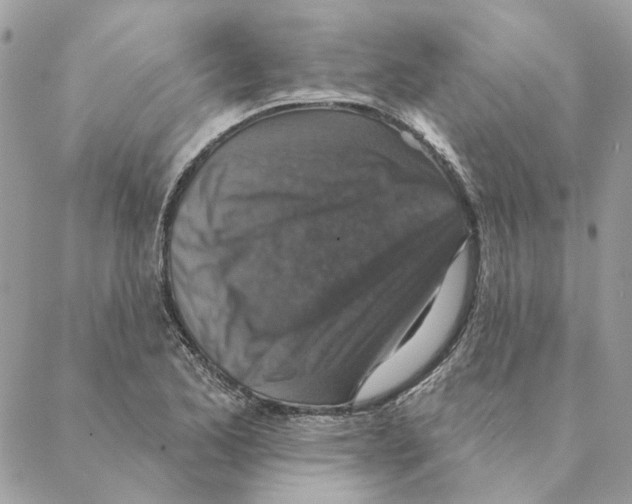 X0000088221173200706121823