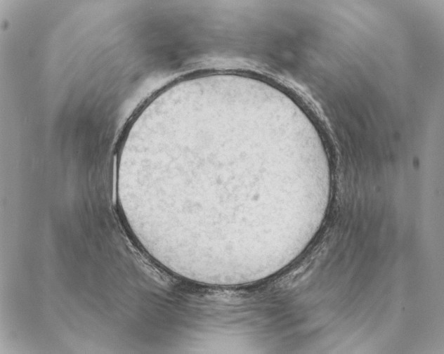 X0000088221175200706121823