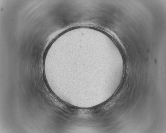 X0000088221176200706121823