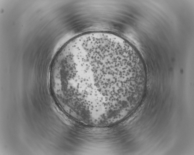 X0000088221179200706121823