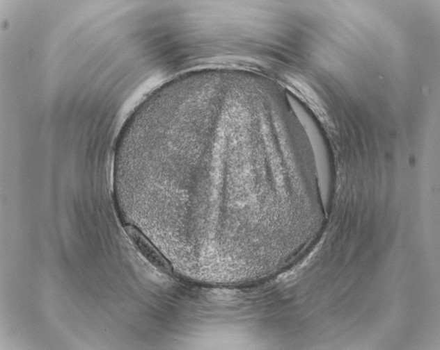 X0000088221180200706121823