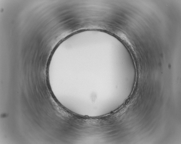 X0000088221181200706121823