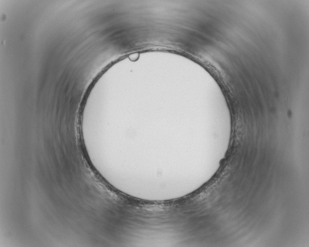 X0000088221182200706121823