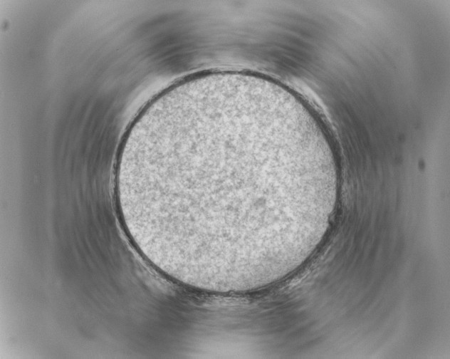 X0000088221183200706121822