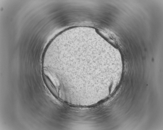 X0000088221184200706121822