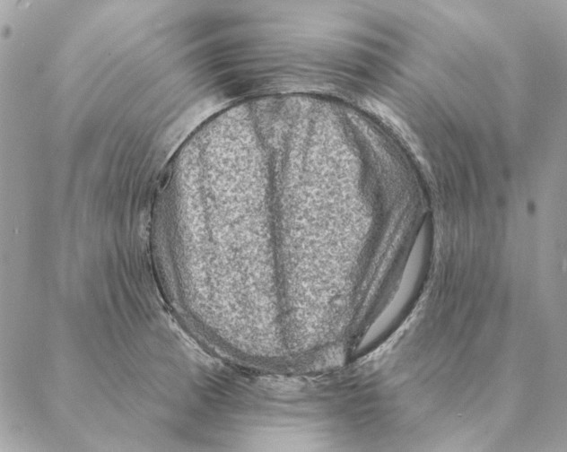 X0000088221185200706121822