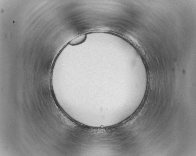 X0000088221186200706121822