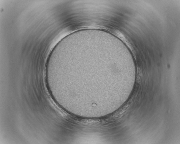 X0000088221187200706121822