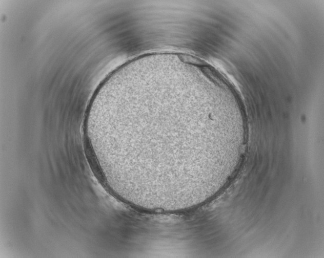 X0000088221189200706121822