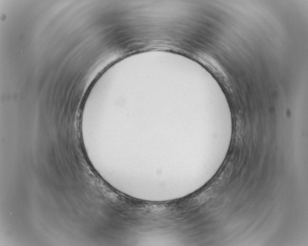 X0000088221190200706121822