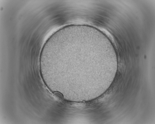 X0000088221191200706121822