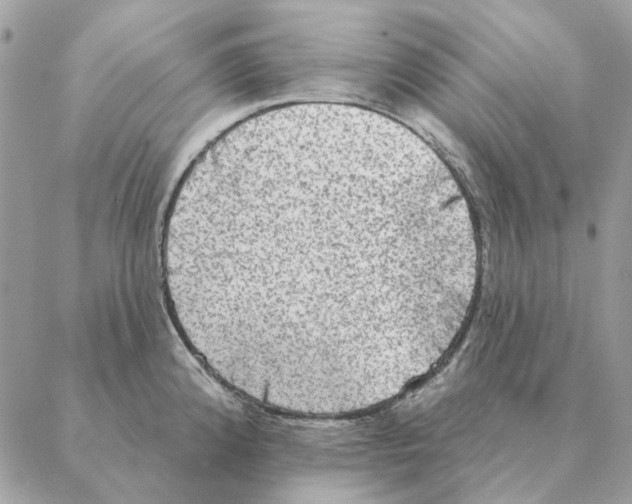 X0000088221192200706121822