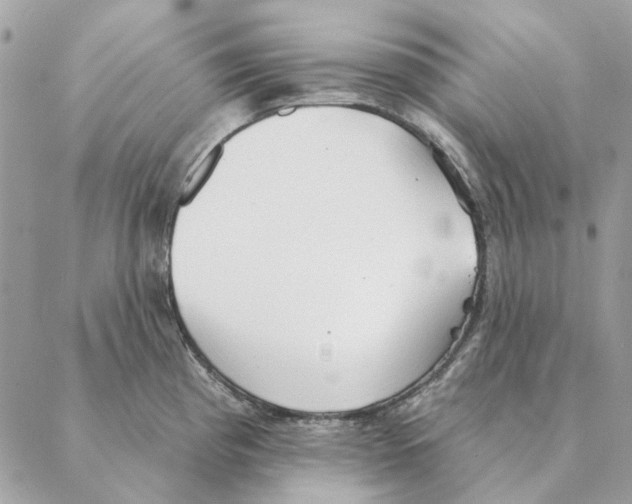 X0000088221193200706121822