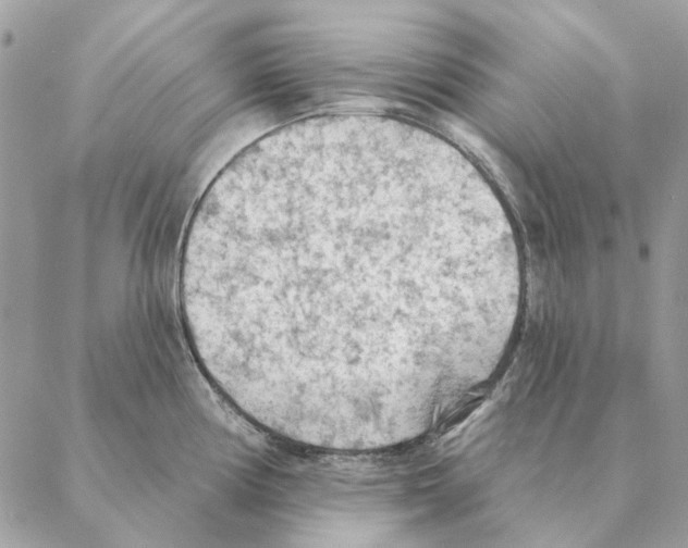 X0000088221194200706121822