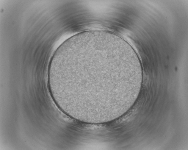 X0000088221195200706121822