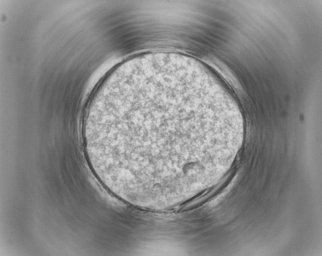 X0000088221196200706121822