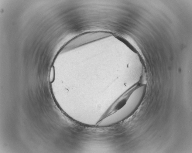 X0000088221197200706121822