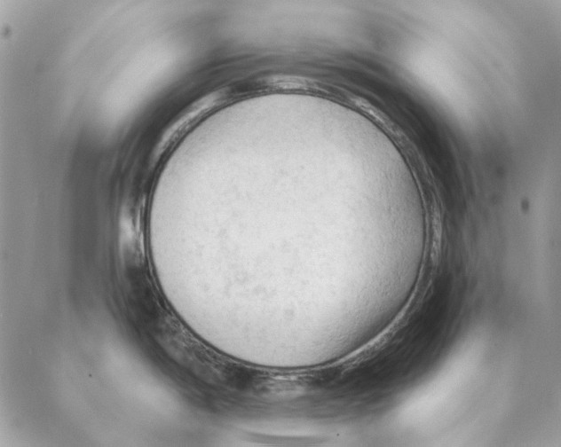 X0000088221198200706121822