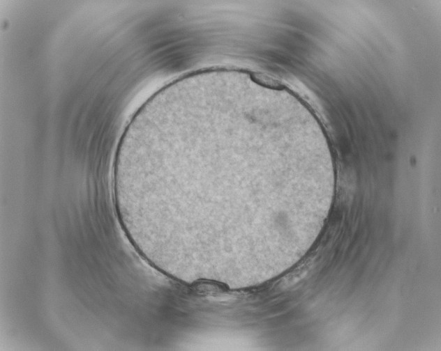 X0000088221199200706121822