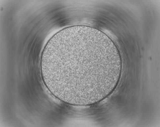 X0000088221200200706121822