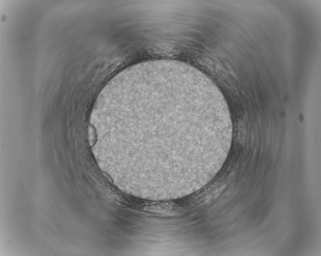 X0000088221201200706121821