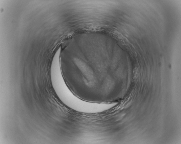 X0000088221202200706121821