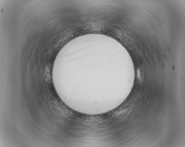 X0000088221203200706121821