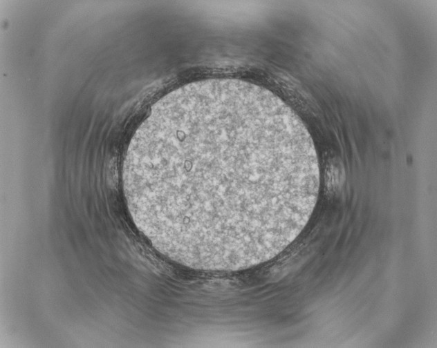 X0000088221204200706121821