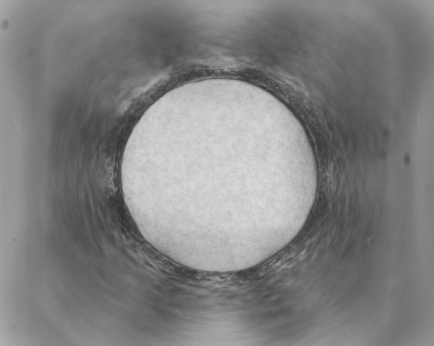 X0000088221205200706121822