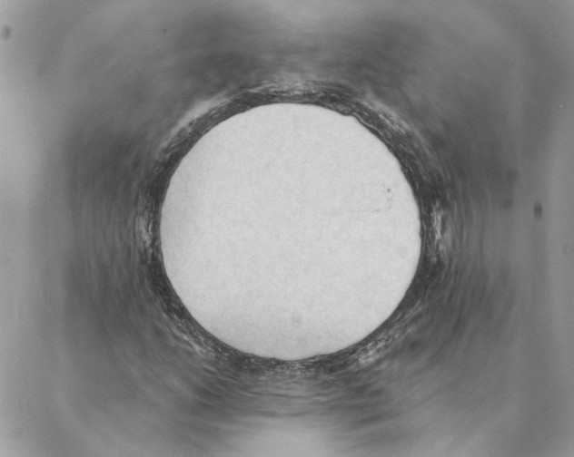 X0000088221206200706121822