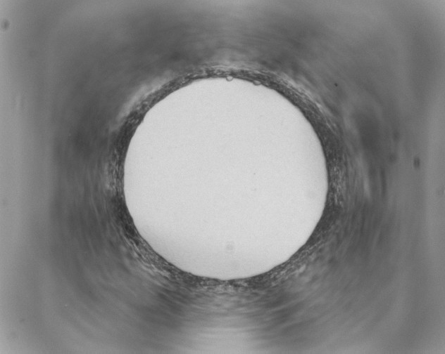 X0000088221207200706121822