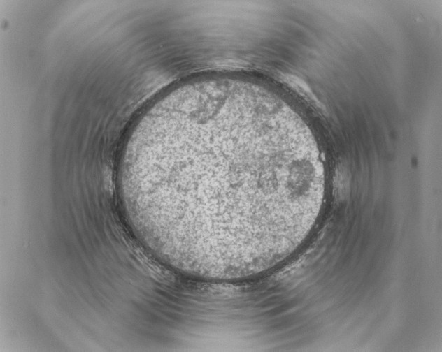 X0000088221209200706121822