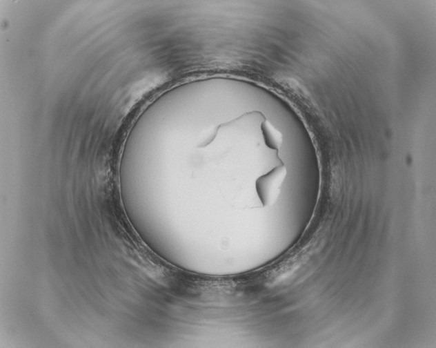 X0000088221210200706121822