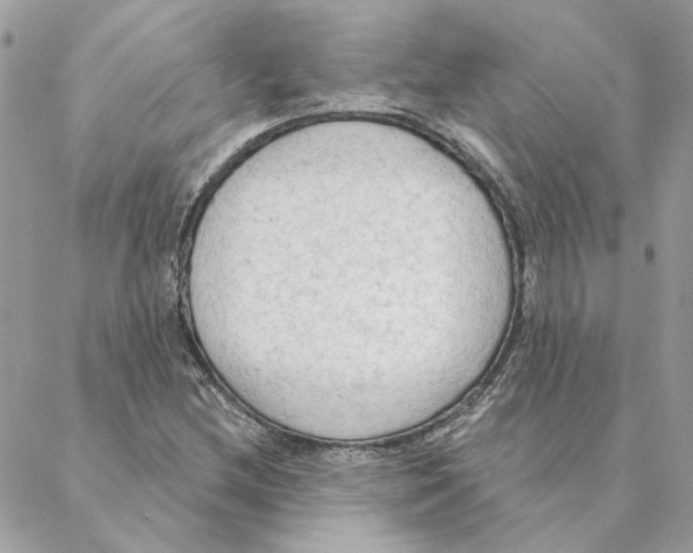 X0000088221212200706121822