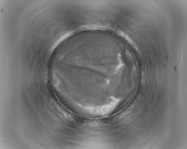 X0000088221213200706121822