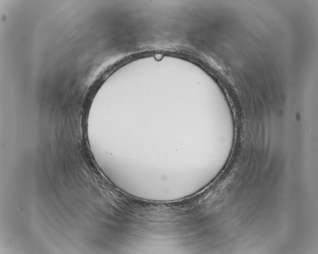 X0000088221214200706121822