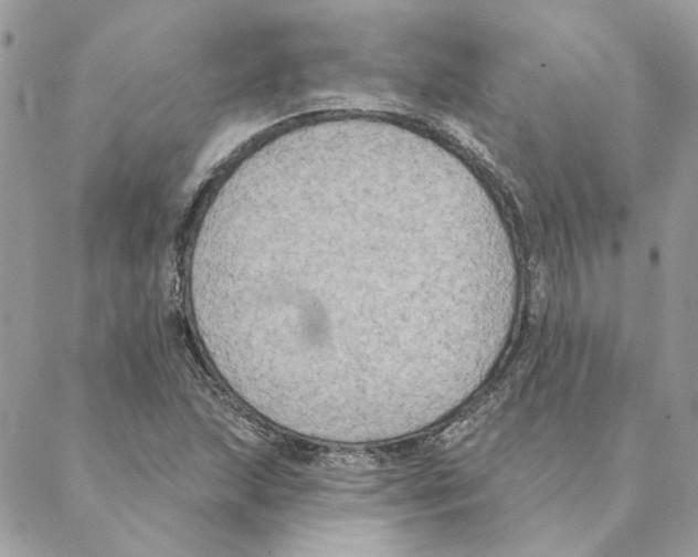 X0000088221215200706121822