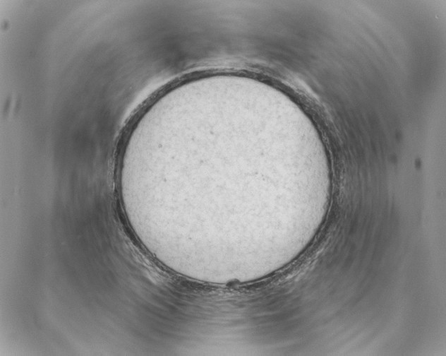 X0000088221216200706121822