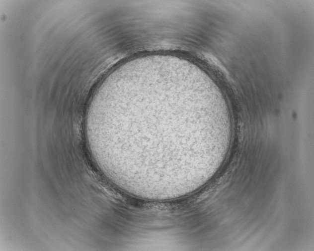 X0000088221217200706121822