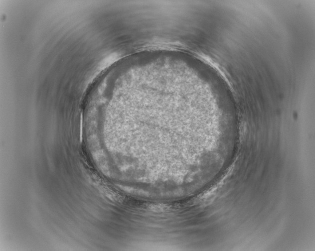 X0000088221219200706121822