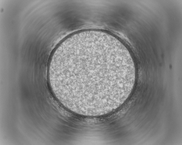 X0000088221220200706121822