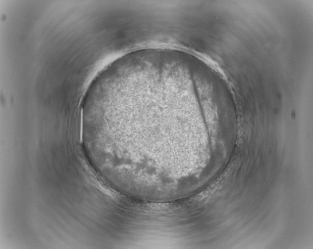 X0000088221223200706121822