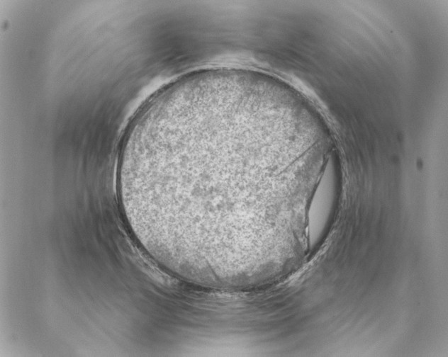 X0000088221224200706121822