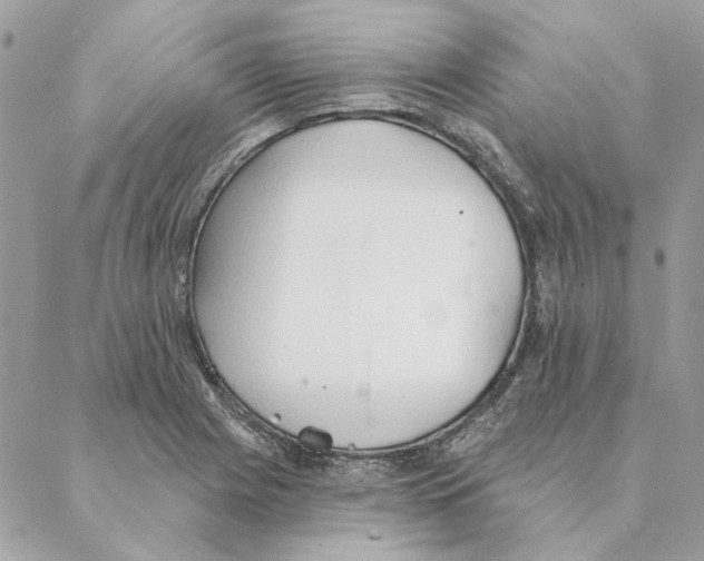 X0000088221225200706121822