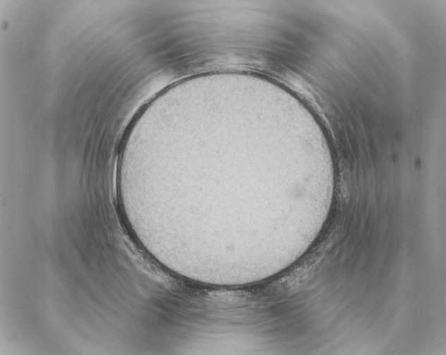 X0000088221227200706121822