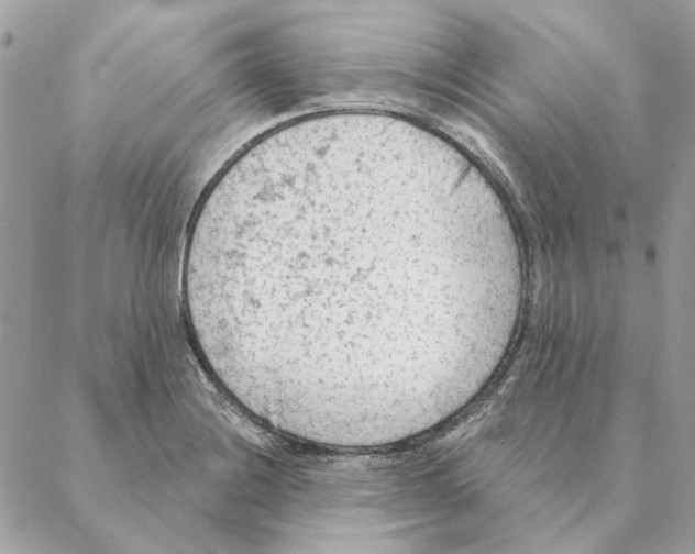 X0000088221228200706121822