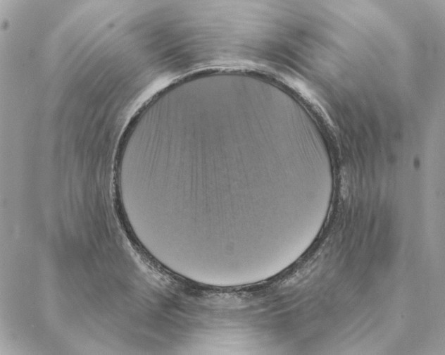 X0000088221229200706121822