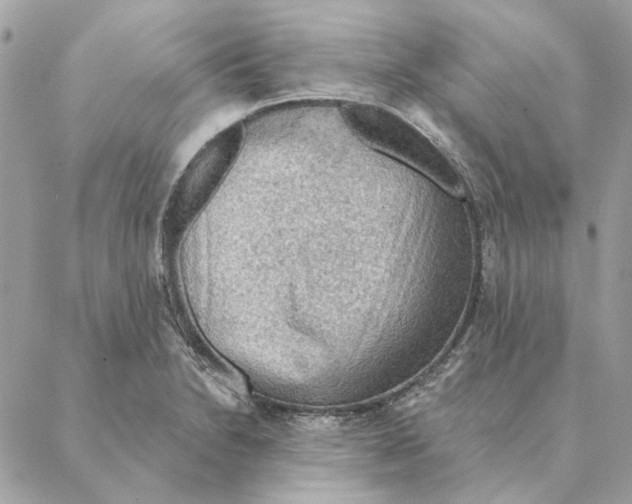 X0000088221230200706121822