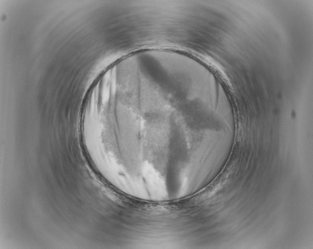 X0000088221231200706121822